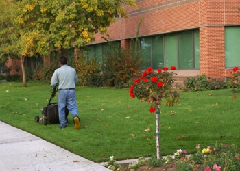 Male cutting the lawn of a commercial building complex